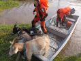 Подтоплено 32 территории: в МЧС по Башкортостану сообщили о ситуации в Аскинском районе