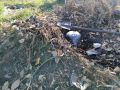 Создание идеального грунта для рассады: важные шаги и рекомендации