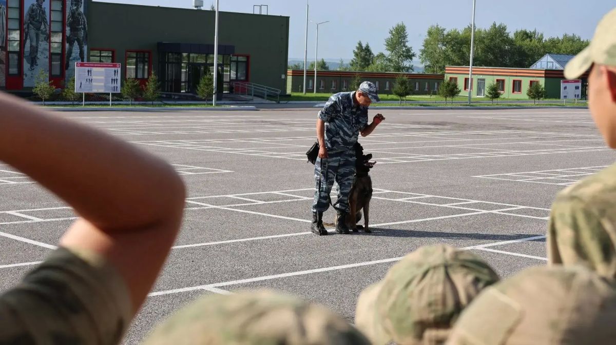 В Башкортостане в военно-патриотическом парке «Патриот» кинологи познакомили подростков с секретами своей профессии В Башкортостане в военно-патриотическом парке «Патриот» кинологи познакомили подростков с секретами своей профессии