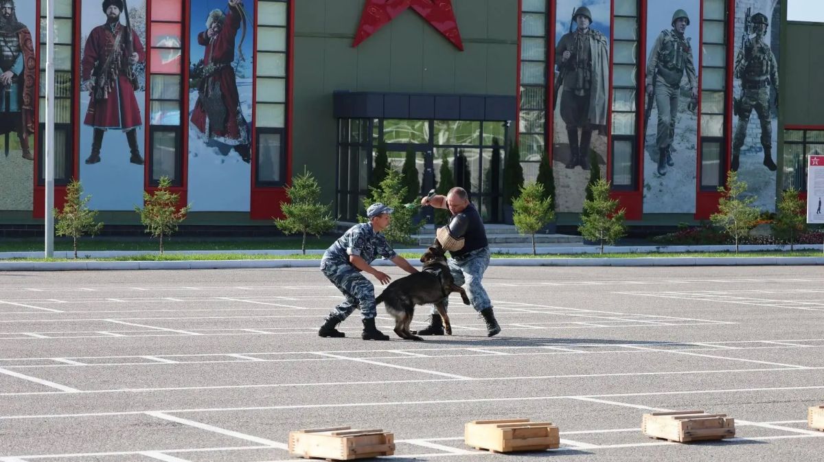 В Башкортостане в военно-патриотическом парке «Патриот» кинологи познакомили подростков с секретами своей профессии В Башкортостане в военно-патриотическом парке «Патриот» кинологи познакомили подростков с секретами своей профессии