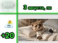 Доброе утро