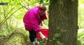 Жителям Башкирии дали рекомендации, как не заблудиться в лесу