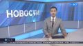 Фонд Нацмузея Башкирии пополнила челюсть мамонтёнка