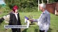 Как живет семья из Уфы, построившая себе дом из телевизоров, бутылок и зеркал – репортаж «Вестей»