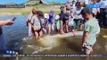 � �������� ��������� ������� �������� � ���� �����