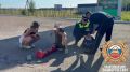 В с. Архангельское погиб 17-летний водитель питбайка