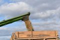 Хлеборобы Башкирии собрали более 2,5 миллиона тонн зерна