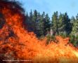 На территории республики действуют шесть очагов лесных пожаров