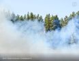 В 13 районах Башкирии прогнозируется высокий класс пожароопасности, еще в Хайбуллинском районе ожидается чрезвычайный — пятый