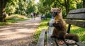 Уфе ожидается теплая погода в пятницу