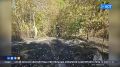 В Башкирии ликвидировали два очага лесных пожаров