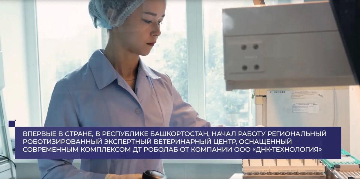 «Мощный прорыв современных технологий» – именно так можно назвать внедрение роботизированного комплекса «РОБОЛАБ» в Башкирскую научно-производственную ветеринарную лабораторию Башкортостана от компании ДНК Технология «Мощный прорыв современных технологий» – именно так можно назвать внедрение роботизированного комплекса «РОБОЛАБ» в Башкирскую научно-производственную ветеринарную лабораторию Башкортостана от компании ДНК Технология