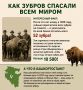 Как спасали зубров в мире и продолжают в Башкирии