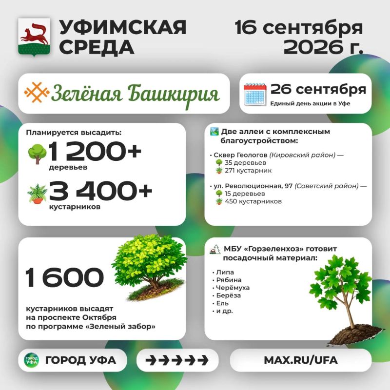 Что было интересного на «Уфимской среде»? Что было интересного на «Уфимской среде»?