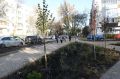 В ходе осенней акции «Зелёная Башкирия» в Уфе высадят 1200 деревьев