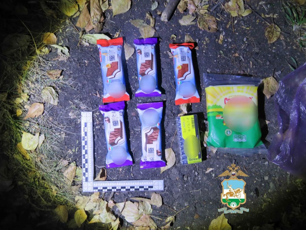 В Аургазинском районе полицейские задержали местного жителя за кражу продуктов из магазина В Аургазинском районе полицейские задержали местного жителя за кражу продуктов из магазина