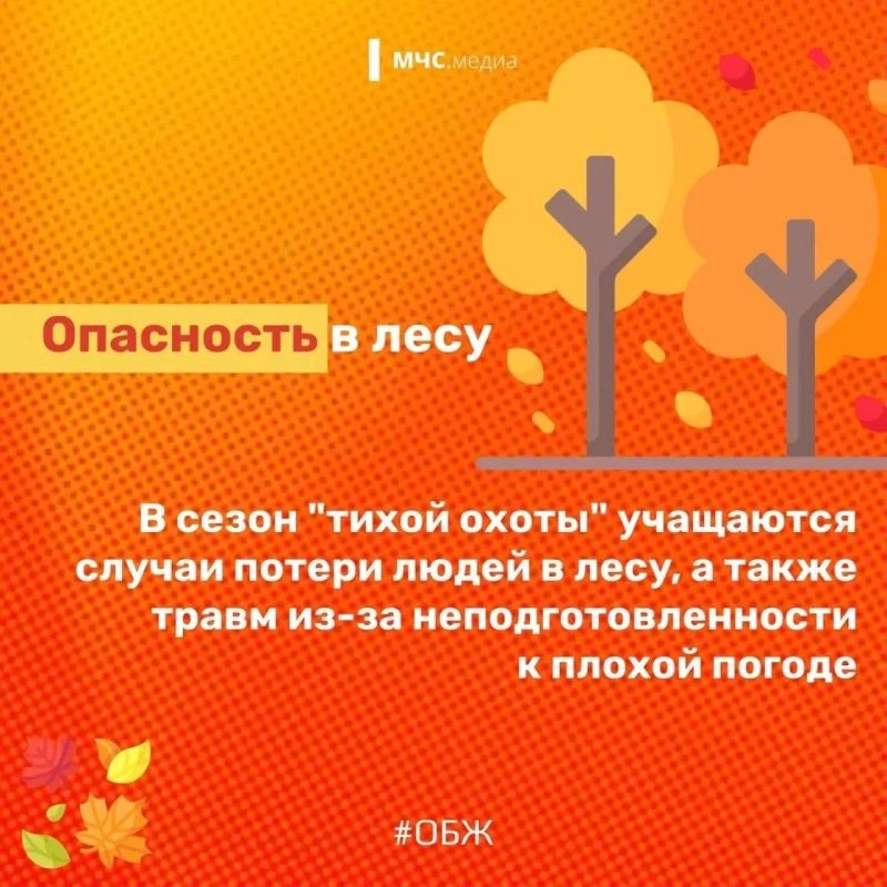 Ключевые сезонные риски. Осень — невероятно красивое время года, с яркими красками и непредсказуемой погодой! То тепло, как летом, то уже зябко, как зимой Ключевые сезонные риски. Осень — невероятно красивое время года, с яркими красками и непредсказуемой погодой! То тепло, как летом, то уже зябко, как зимой