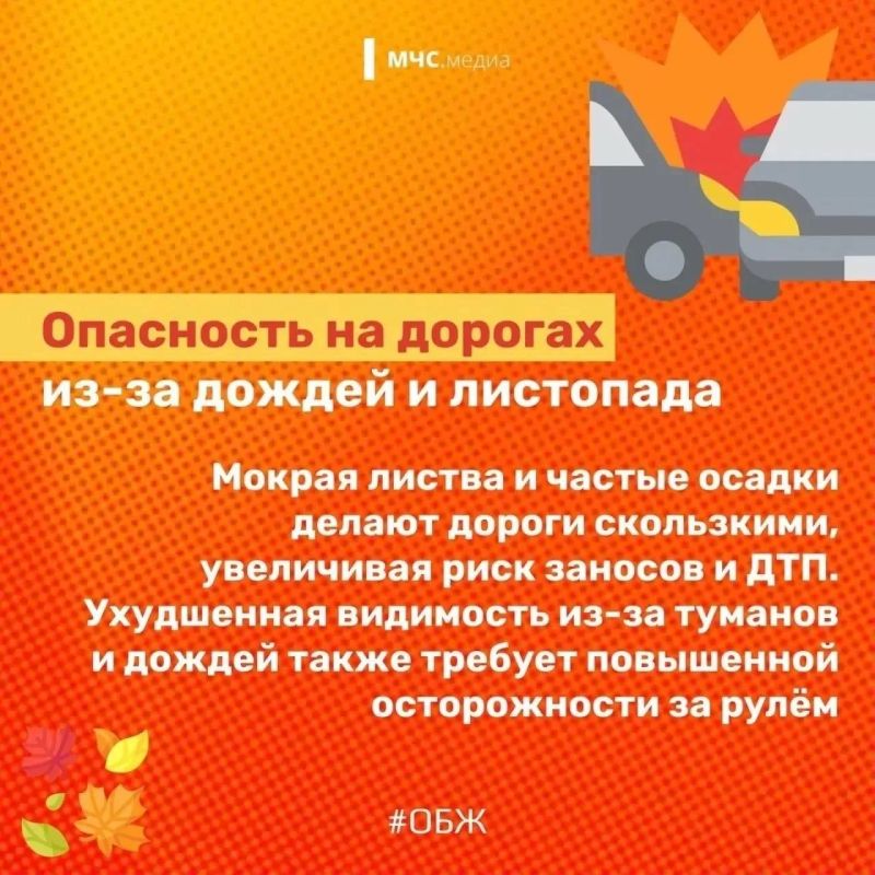 Осень бывает прекрасной, но всё же коварна своей изменчивой погодой и скрытыми рисками Осень бывает прекрасной, но всё же коварна своей изменчивой погодой и скрытыми рисками