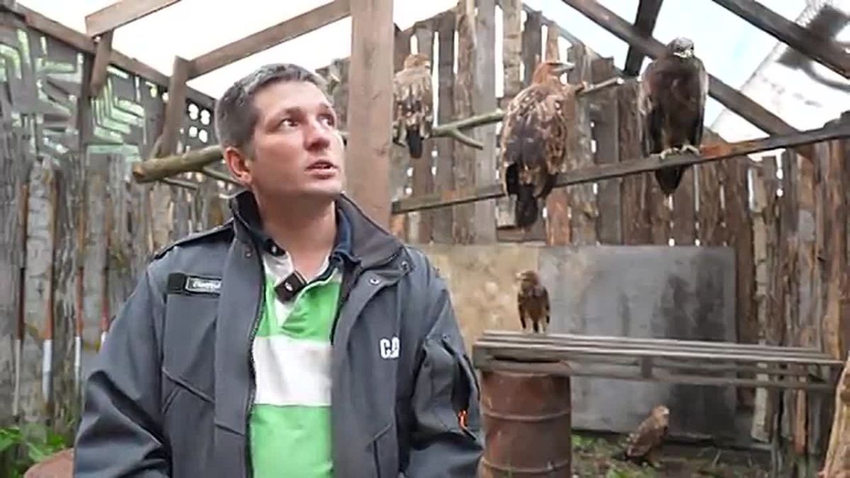 Они просто оказались не там и не в то время…