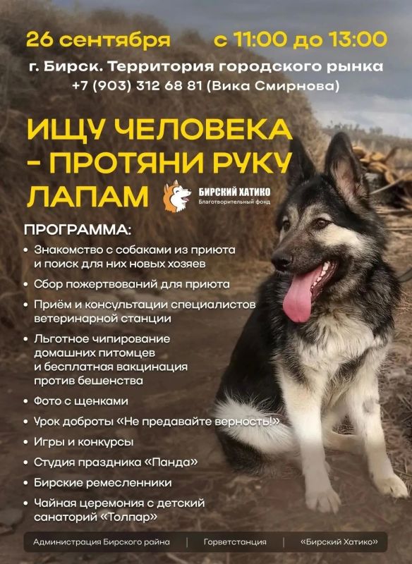 Подарите добро тем, кто в нем нуждается!