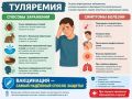 В городе Агидели выявлены четыре случая заболевания туляремией, сообщает администрация города
