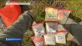 Уфимец Ильдар Архипов за 38 дней обошел Кольский полуостров и столкнулся с семьей медведей