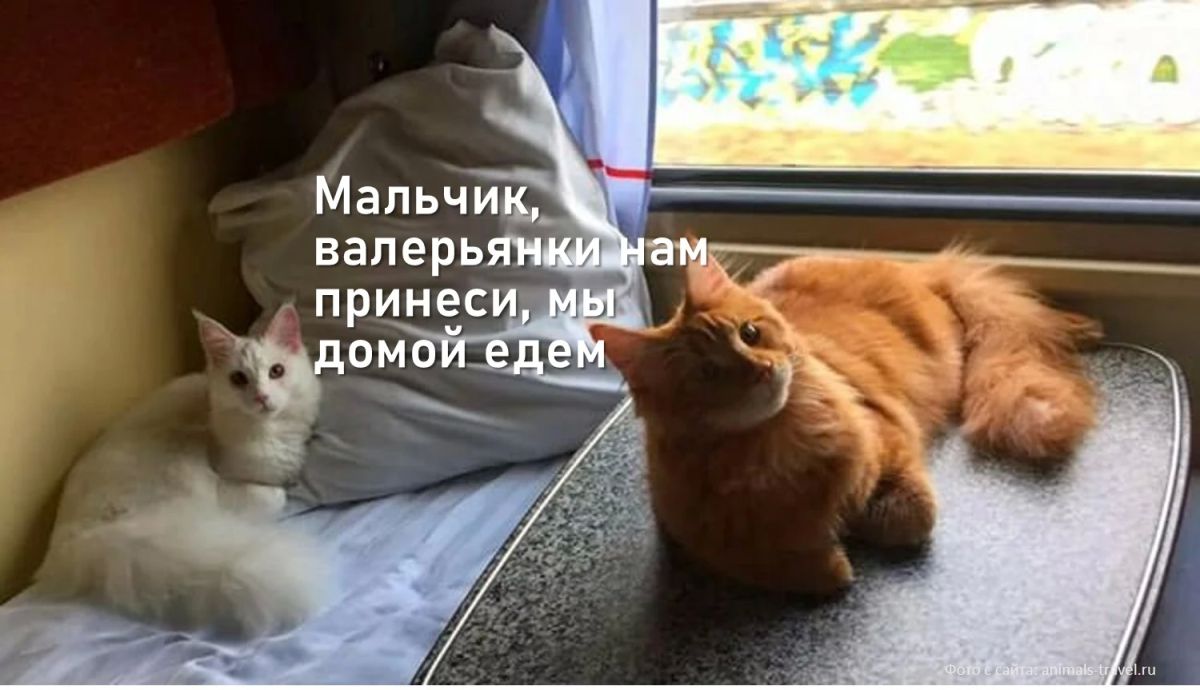 - Ох этот непередаваемый запах позавчерашней курочки-гриль спешно купленной в ларьке у дома мммм