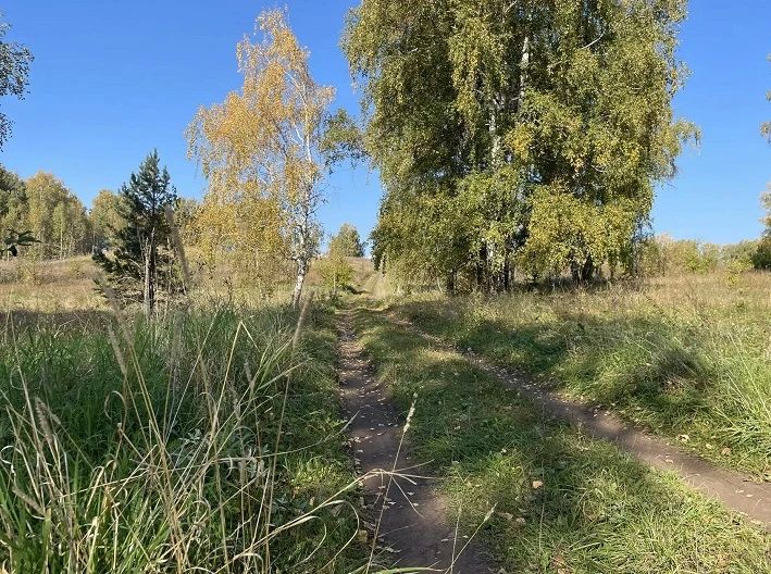 По данным Башгидромета, 26 сентября на территории республики ожидается переменная облачность