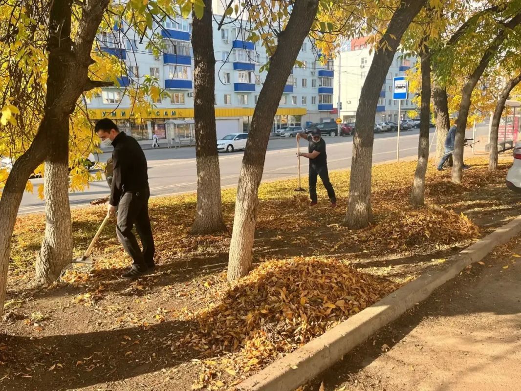 Сотрудники Минземимущества РБ приняли участие в общегородском субботнике Сотрудники Минземимущества РБ приняли участие в общегородском субботнике