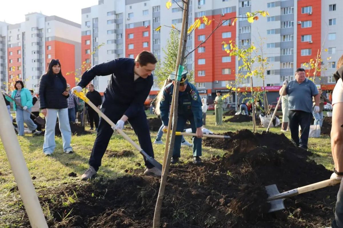 В Стерлитамаке высадили порядка 260 деревьев В Стерлитамаке высадили порядка 260 деревьев