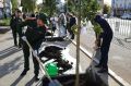 В Башкирии появились 69 новых тематических аллей