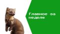 В Уфе прошли проверки в ТЦ после гибели 4 людей в Стерлитамаке, где случился пожар