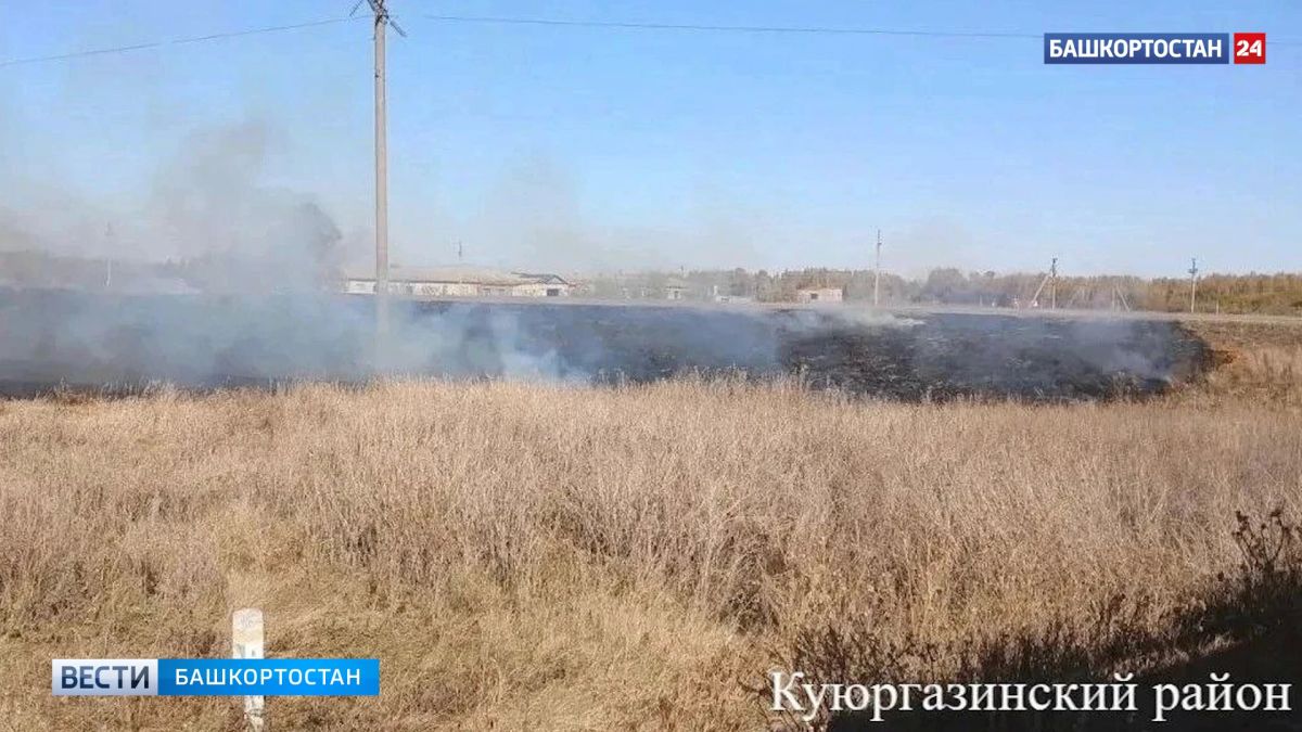 В двух районах Башкирии зафиксировано возгорание сухой растительности