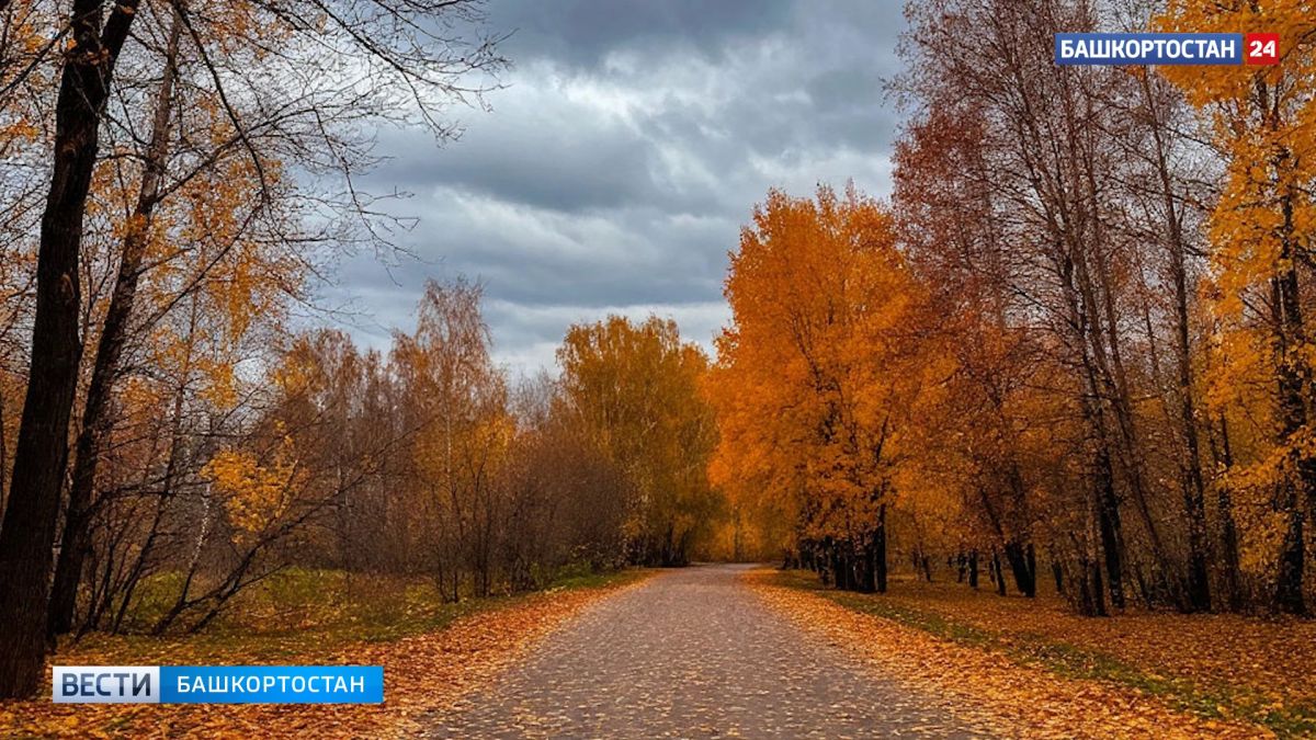 В Башкирии ожидаются резкие перепады температуры и заморозки до -5°