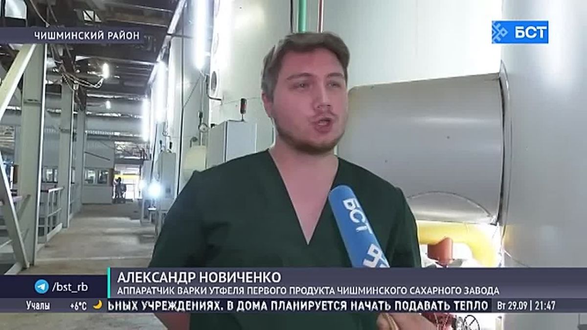 В Башкирии убрана половина площадей сахарной свёклы