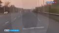 В Уфе лось выбежал на дорогу перед машиной и попал на видео