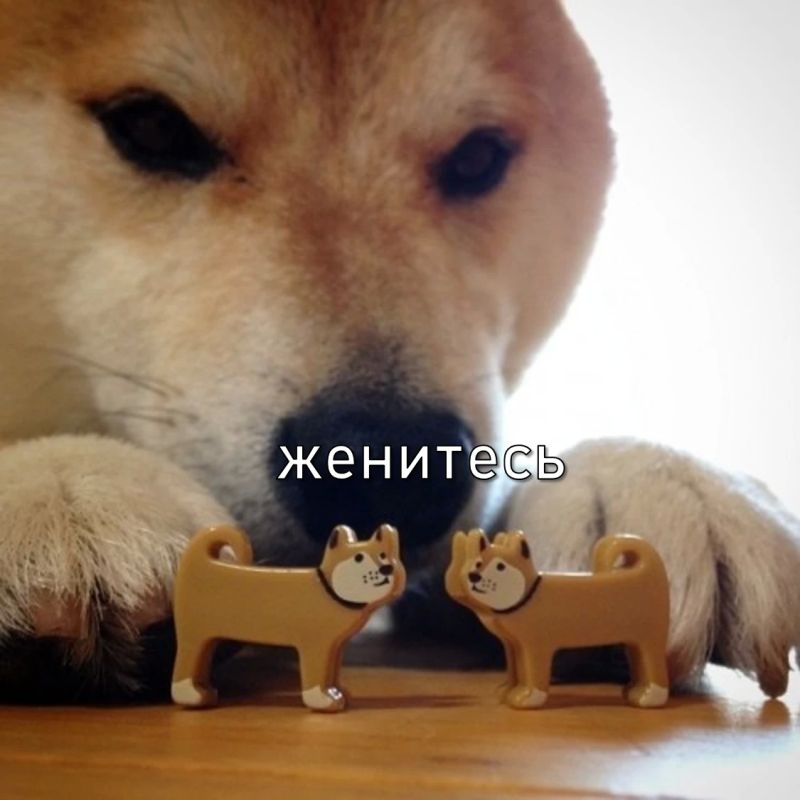 ВНИМАНИЕ. ВНИМАНИЕ. Пост для НЕЗАМУЖНИХ девушек