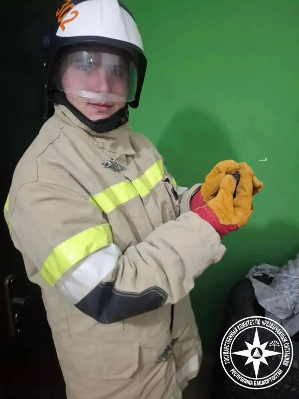 Пришли на помощь необычному заявителю Пришли на помощь необычному заявителю