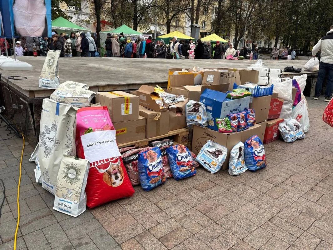 Благотворительную акцию «Ищу человека» в Уфе посетили около 500 человек Благотворительную акцию «Ищу человека» в Уфе посетили около 500 человек