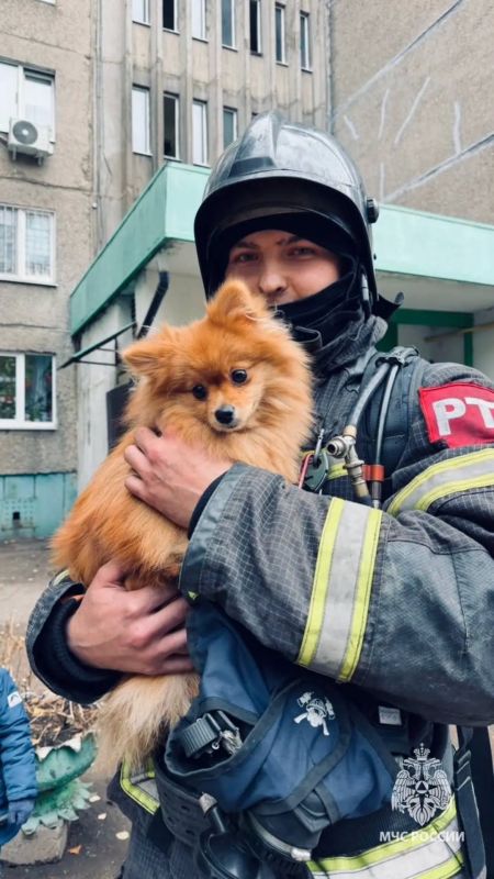 Доброе утро. Начинаем новую неделю с отличным настроением