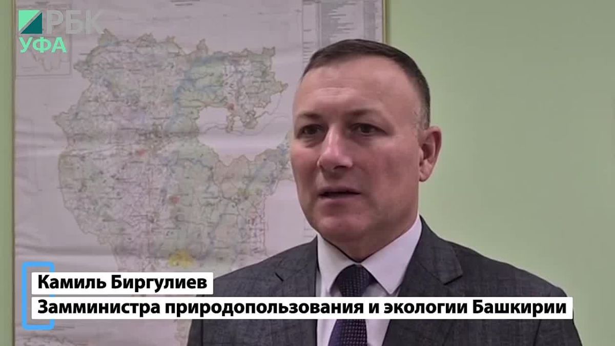 За тушу медведя – 50 тыс. рублей, волка – 30 тыс