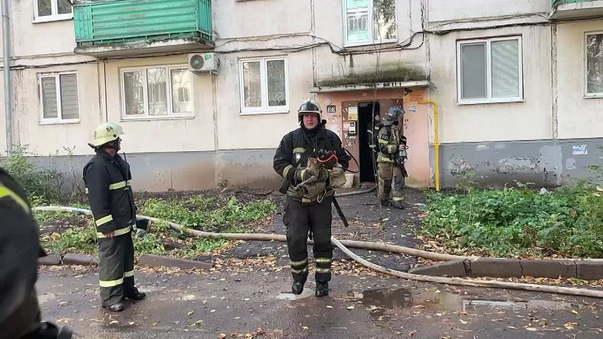Спасатели вынесли кота Лёшу и других питомцев из дома с полыхающей крышей в Уфе