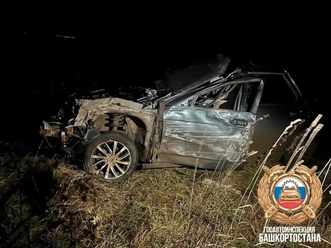В Гафурийском районе легковушка врезалась в лошадь