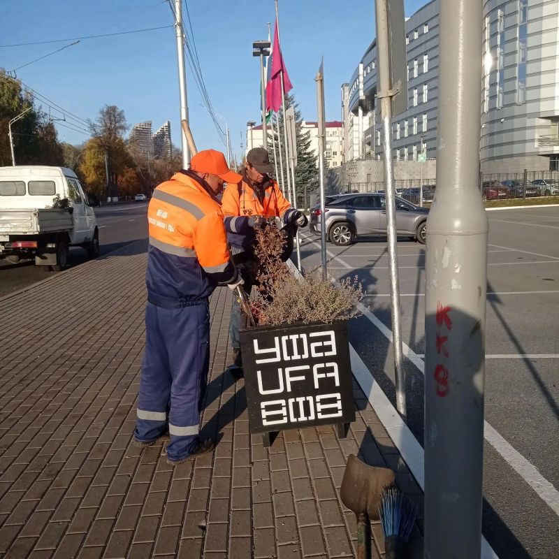 Тёплая солнечная погода способствует активному проведению работ по благоустройству Тёплая солнечная погода способствует активному проведению работ по благоустройству