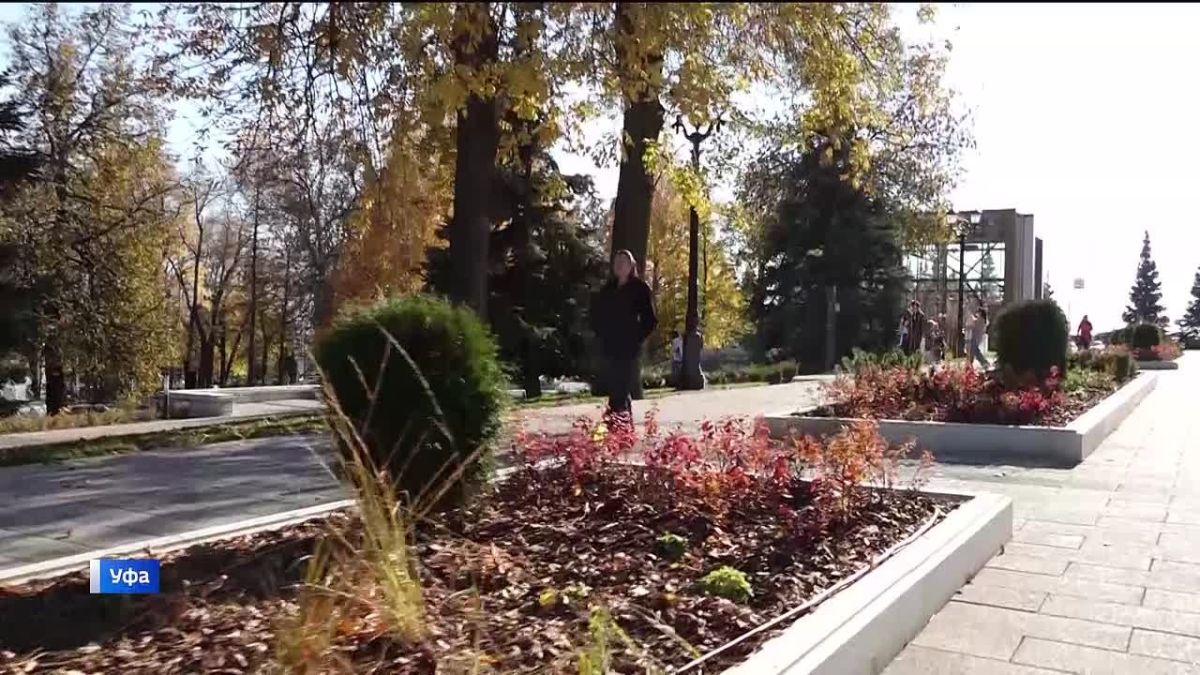 Жителей Башкортостана ждут теплые выходные