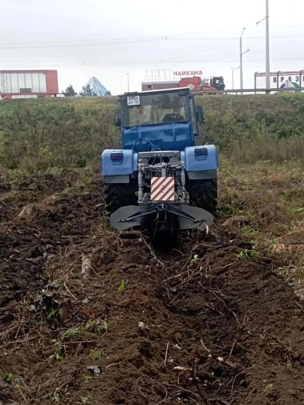 Благоприятные погодные условия способствуют проведению осенней посадки лесных культур Благоприятные погодные условия способствуют проведению осенней посадки лесных культур