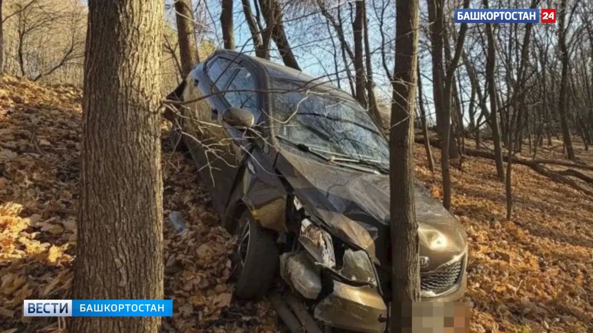 В Уфе иномарка вылетела с дороги в кювет и врезалась в дерево