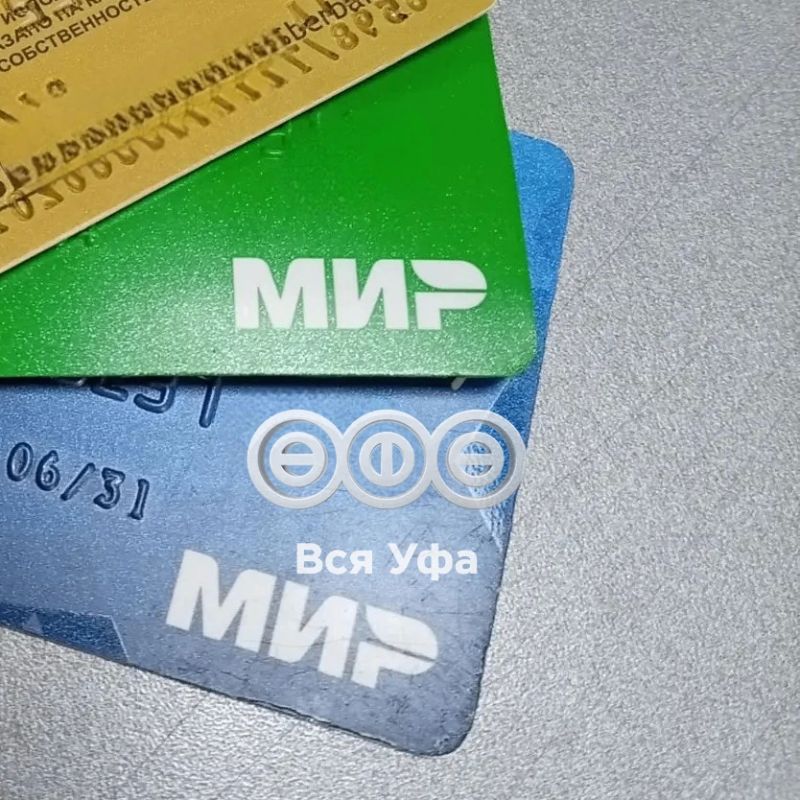Картой «Мир» можно будет заменить «Алгу»