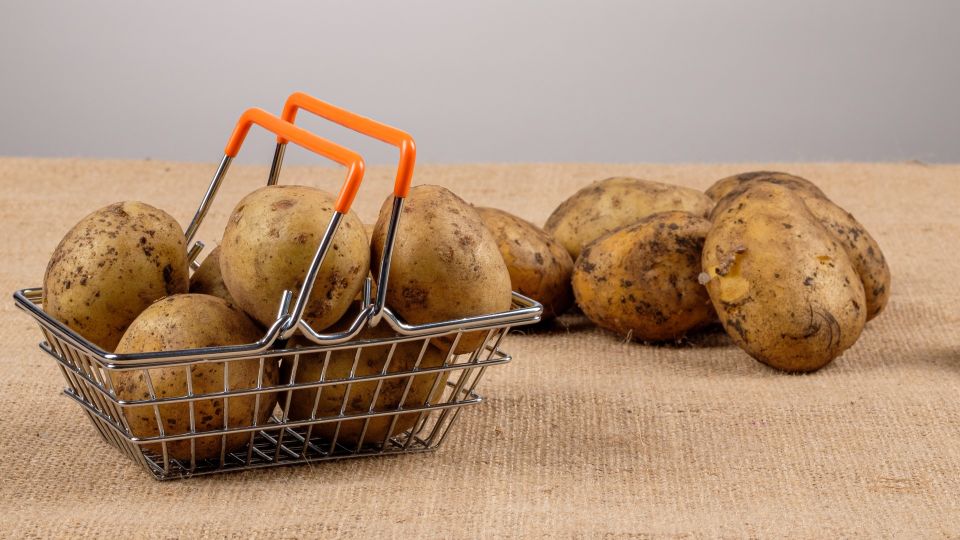 ���� ����� �� �������� � ���� ��� ������: ��������� �� ���� ���������