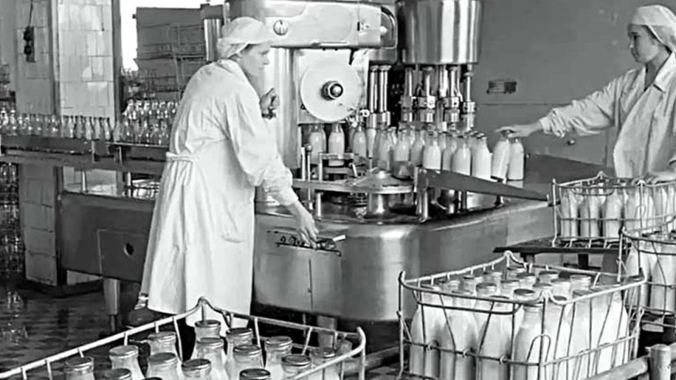 Ностальгия по полезным продуктам СССР: что мы недооценивали в прошлом